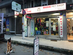 Biggie Petshop - Greenvet Turkey (İstanbul, Maltepe, Mustafa Kemal Atatürk Cad., 38G), pet shop
