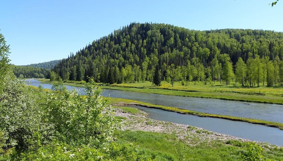 Фото Замок Эдельвейс