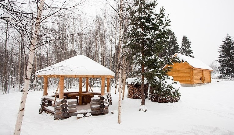 Фото Озерный берег