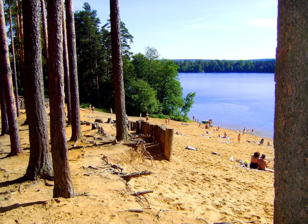 Фото Вырицкий мамонт