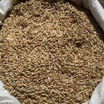 Kombikorm. bel (Handliovaja vulica, 14В), fodder and feed additives