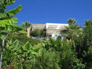 Гостиница TUI Magic Life Bodrum