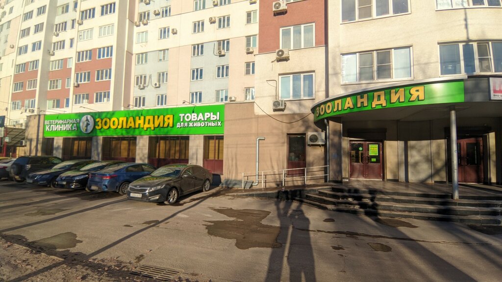 Veterinary clinic Zoolandiya, Penza, photo