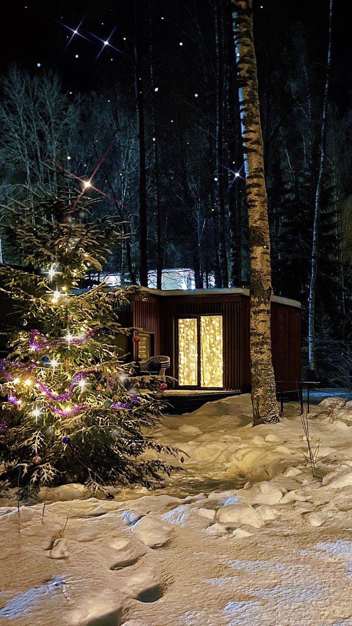 Фото Черника