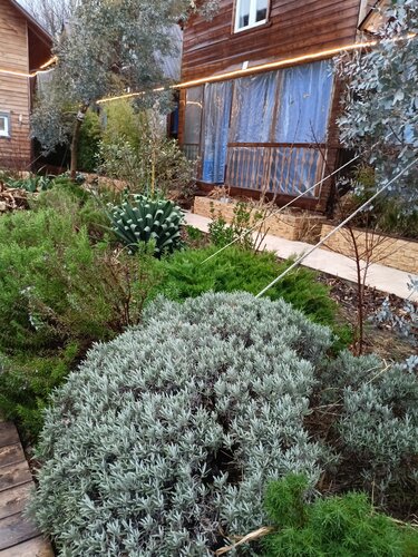 Иное жильё Лесная поляна в Джубге