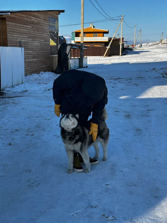 Фото Пилигрим