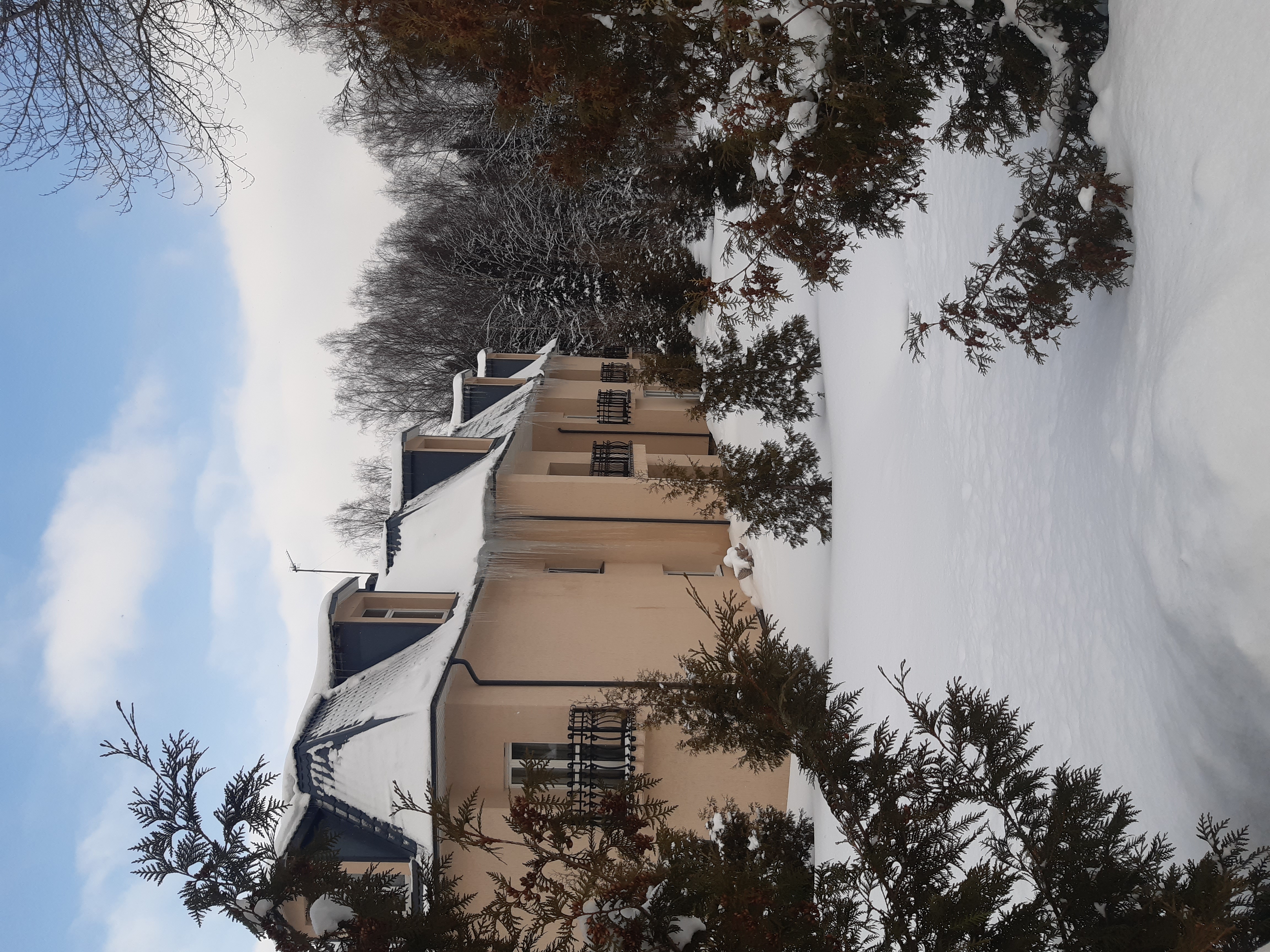 Фото Лафер Ренессанс