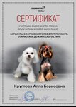 Моджо (Urban settlement of Gidrotorf, Administrativnaya ulitsa, 10), pet salon