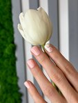 Chernova Studio (Poltavskaya Street, 37), nail salon
