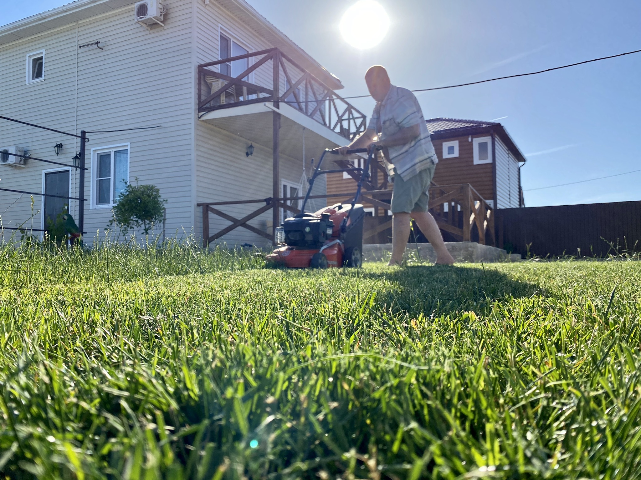 Фото 38 Попугаев