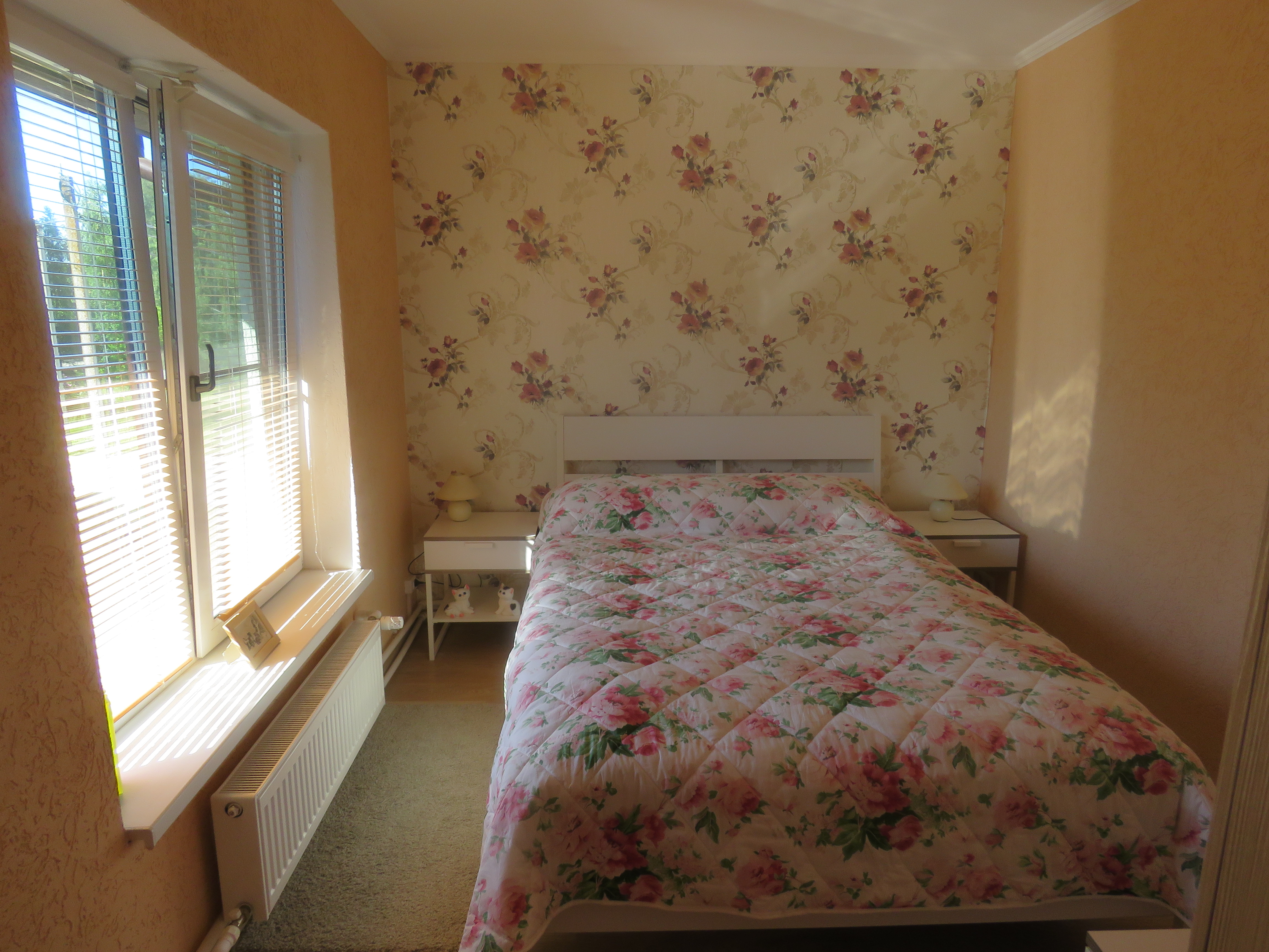 Фото Кот и кошка