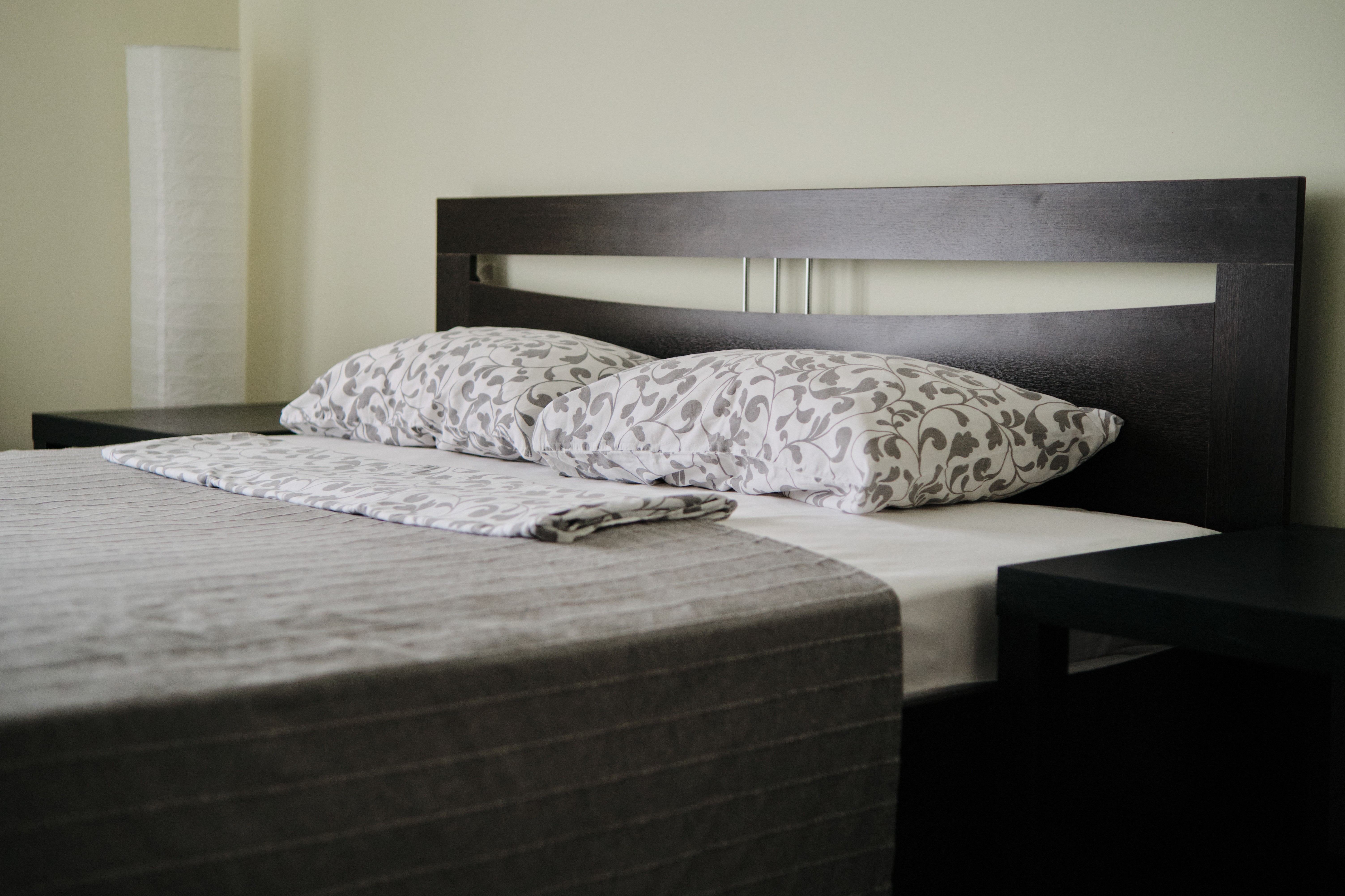 Фото Солнечная орхидея