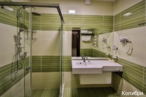 Фото Колибри