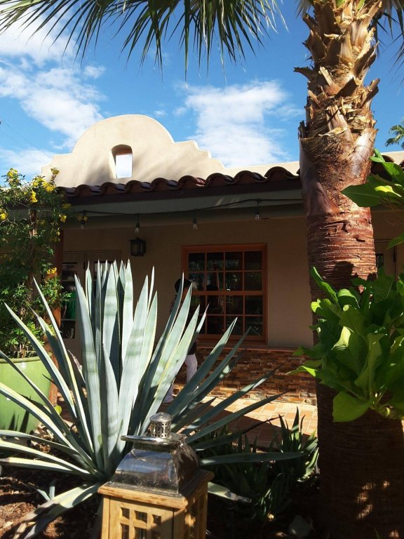 Фото Dive Palm Springs