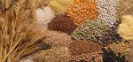 Комбикорм (derevnya Sokolovo, 31А), fodder and feed additives