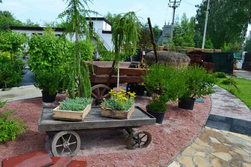 Garden center Tri Sezona, Nizhny Novgorod Oblast', photo