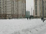 Спортивная площадка (Moscow Region, Krasnogorsk, Pavshinskaya Poyma Subdistrict, 2nd Subdistrict), sports ground