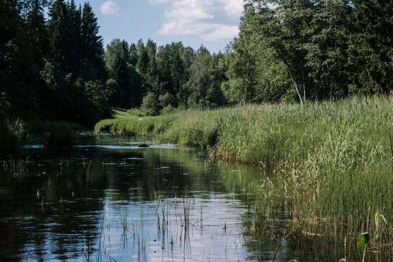Мазаная Горка — фото 37