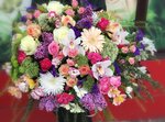 Цветы и подарки (selo Konobeyevo, Tsentralnaya ulitsa, 6/2), flower shop