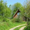 Fairytale Cottage Nestled Between Forest and Village Within Cycling Distance of Bergen aan Zee