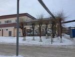 Спарта (3-y mikrorayon, 130), fitness club