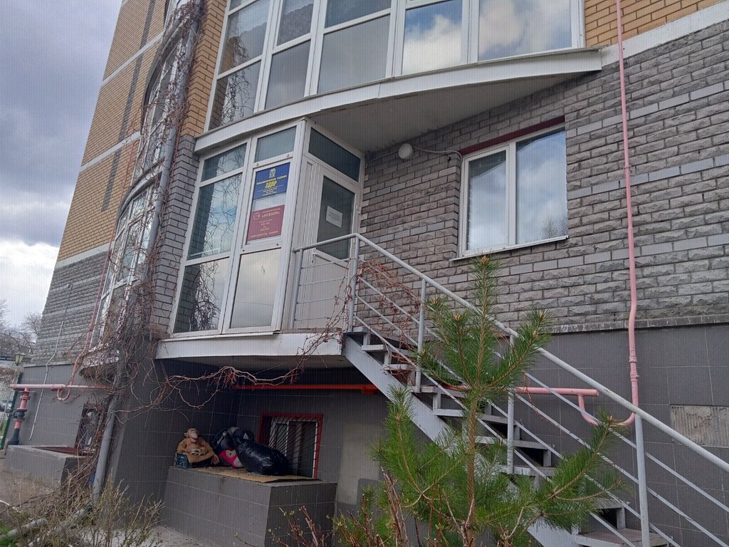 Political parties Либерально-демократическая партия России, Naberezhnye Chelny, photo