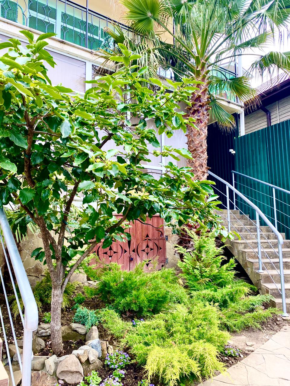 Фото Династия