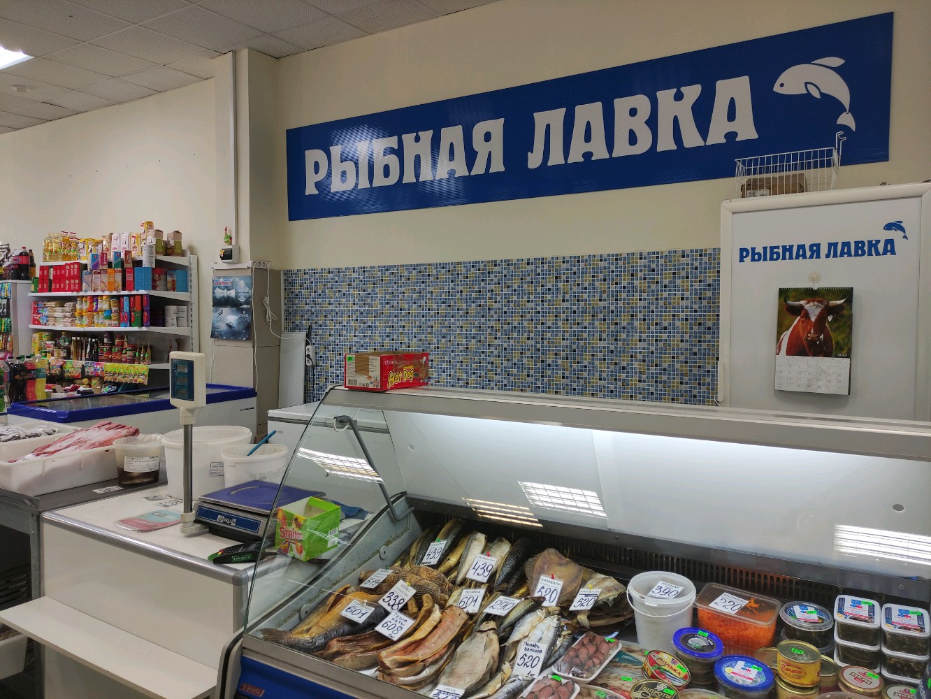 Рыбная лавка каргопольская ул 14 фото