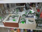 Сувениры (ulitsa Pervoy Pyatiletki, 6) ، متجر الهدايا والتذكارات
