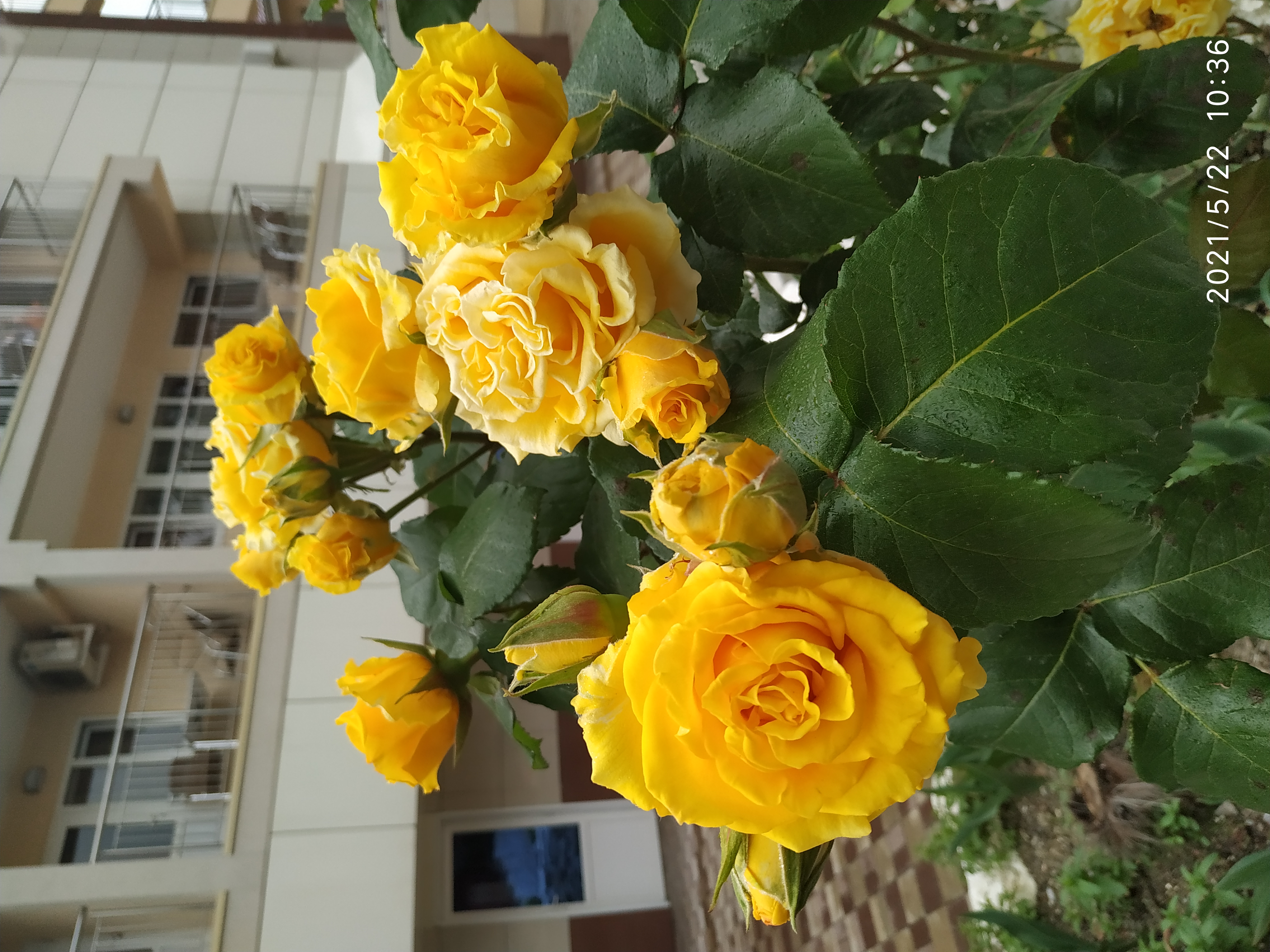 Фото Охотник