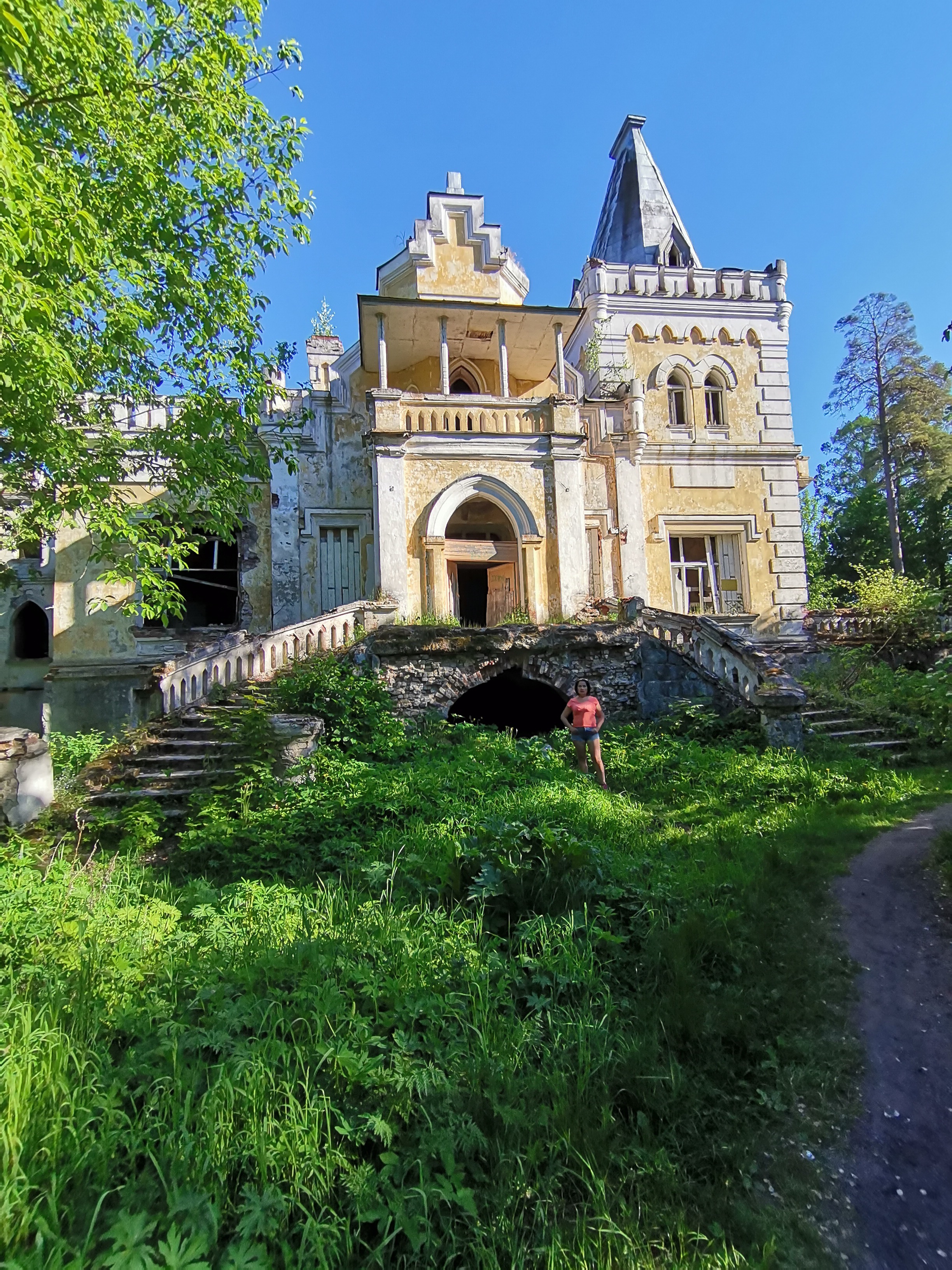 Фото Лесная дача