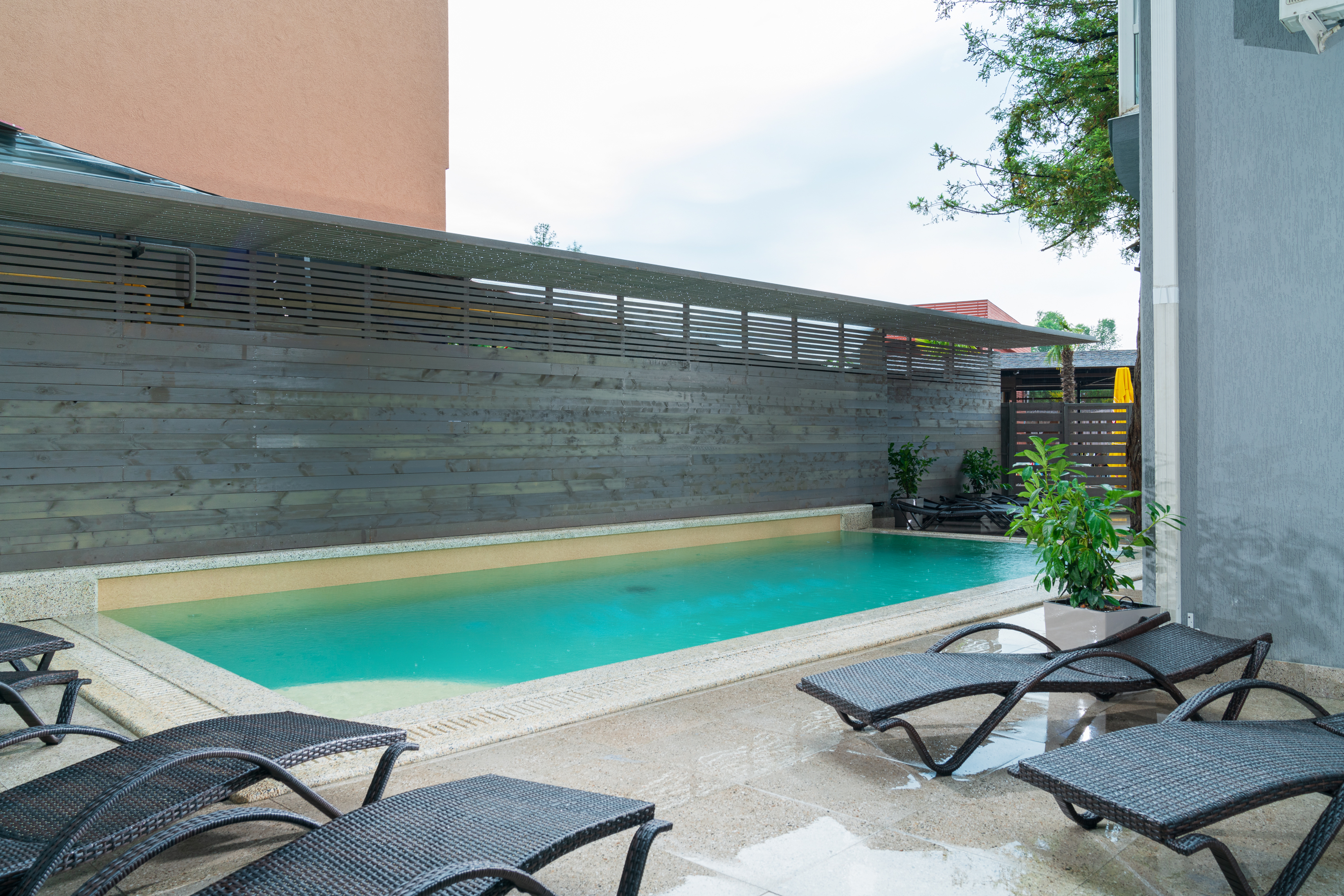 Фото Ксандер