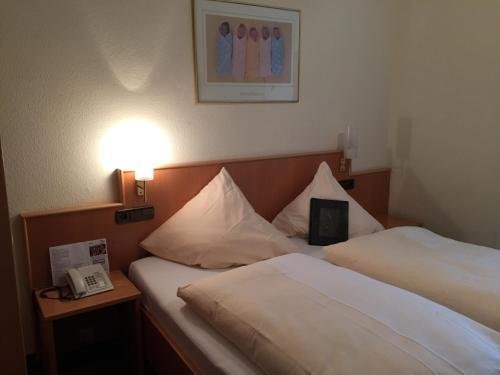 Фото Hotel Rose Heidelberg