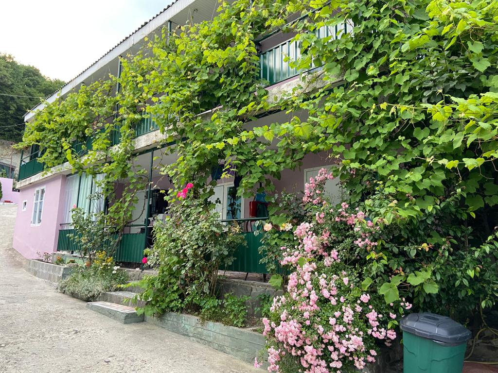 Фото Дом Табаловых