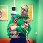 Lapa Pomoshchi (ulitsa Arkhitektora Ishunina, 7/1к2), veterinary clinic