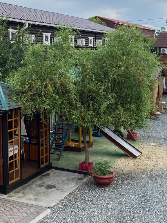 Фото Дюльбер 117