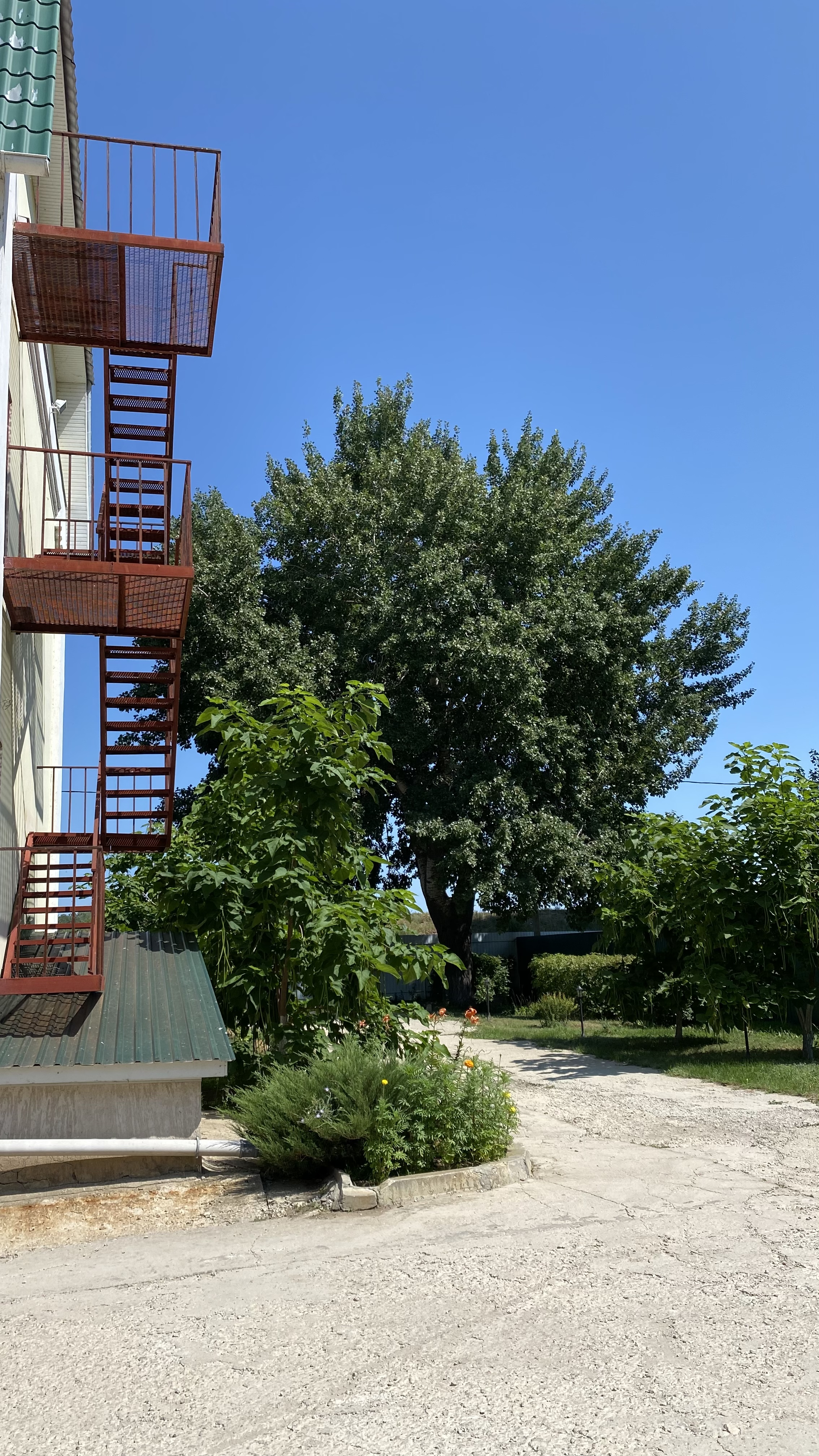 Фото Речная долина