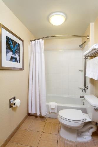 Фото SpringHill Suites by Marriott Modesto