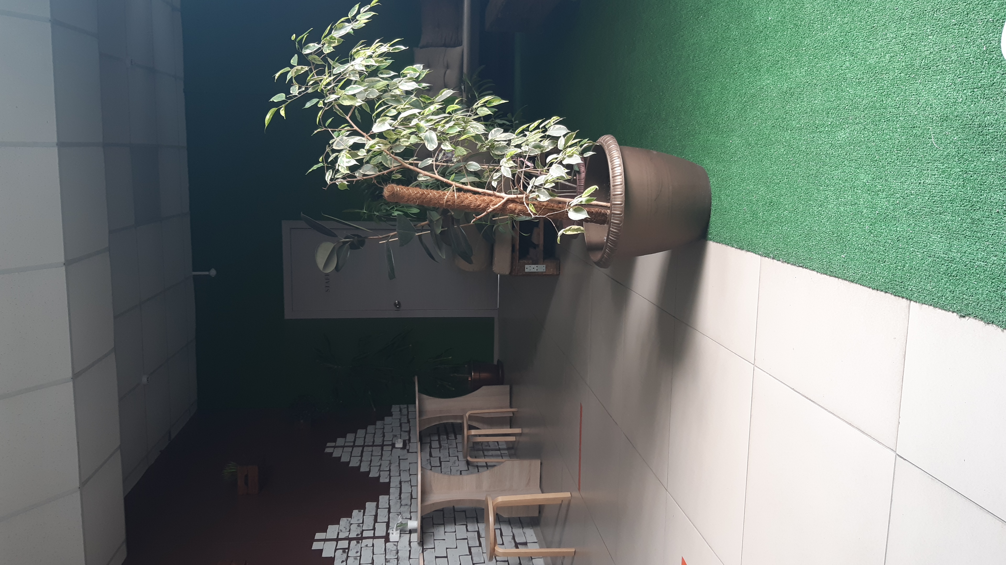 Фото Капсульный отель Толмачево