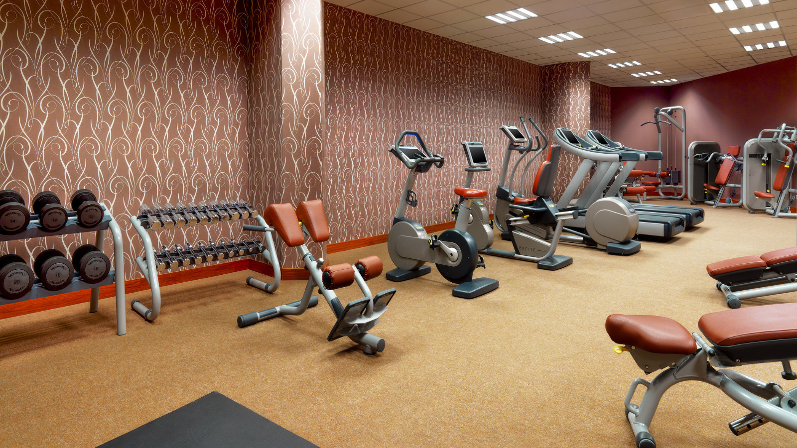 Фото Sheraton Skypoint Luxe