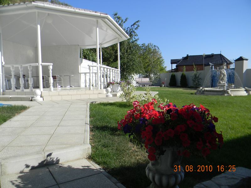 Фото Журавли