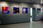 Galereya Brucie Sollections (Sichovykh Striltsiv Street, 55Б), exhibition center