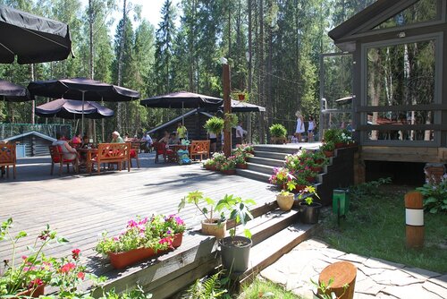 Гостиница Романов лес в Костромской области