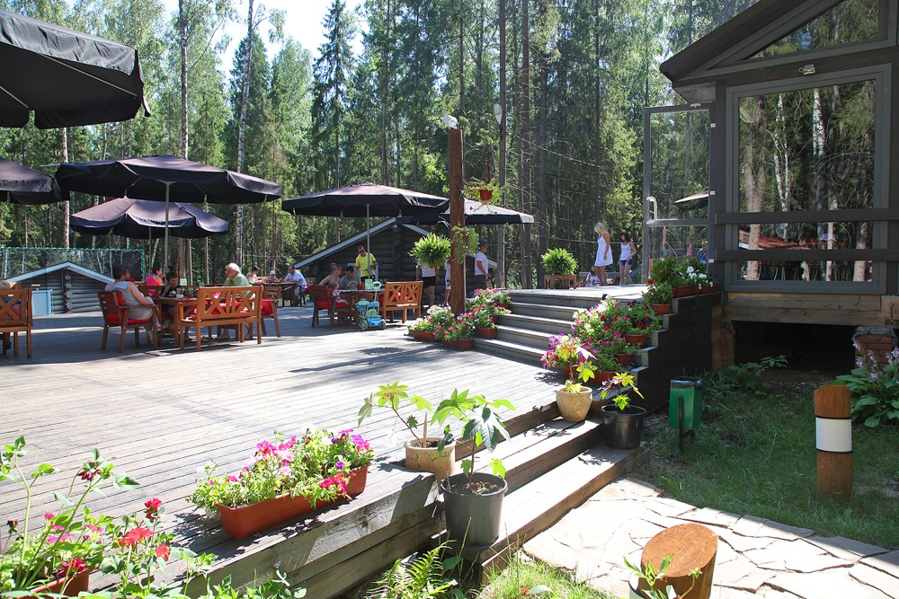 Фото Романов лес