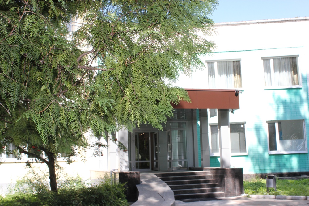 Фото Бобачёвская роща