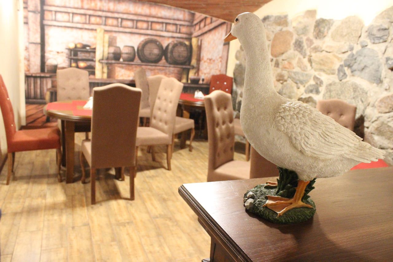 Фото Серый гусь