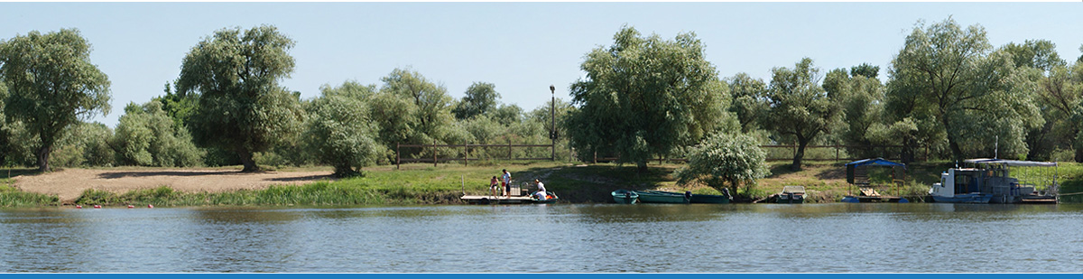 Фото Камышовый рай