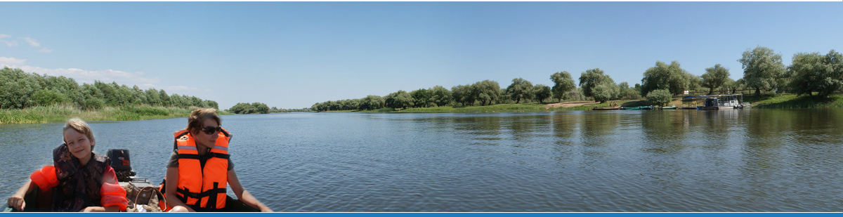 Фото Камышовый рай