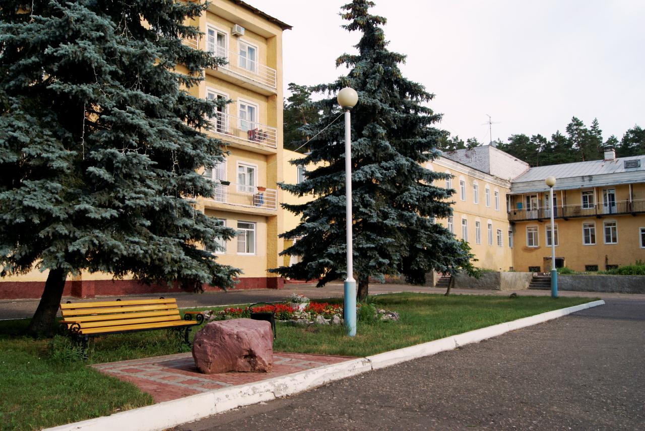 Фото Лесная жемчужина