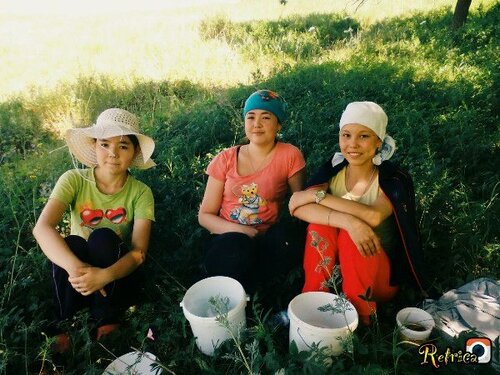 Cafe Shashlychny dvorik, Republic of Bashkortostan, photo